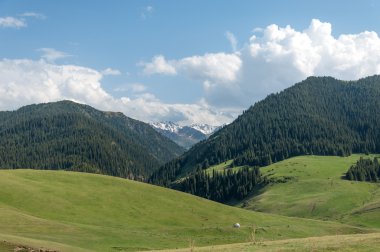 dağ, dağ, tepe. Kazakistan. Tien Shan. Takma Yaylası