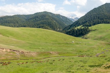 dağ, dağ, tepe. Kazakistan. Tien Shan. Takma Yaylası
