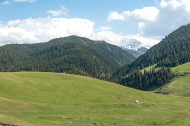 dağ, dağ, tepe. Kazakistan. Tien Shan. Takma Yaylası