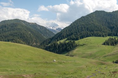 dağ, dağ, tepe. Kazakistan. Tien Shan. Takma Yaylası