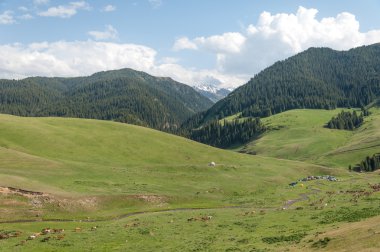 dağ, dağ, tepe. Kazakistan. Tien Shan. Takma Yaylası