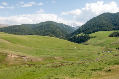 dağ, dağ, tepe. Kazakistan. Tien Shan. Takma Yaylası