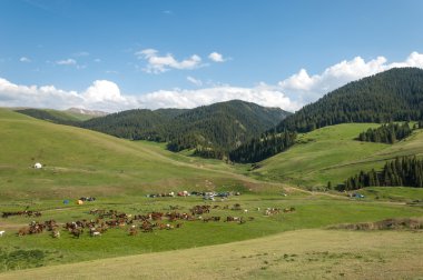 dağ, dağ, tepe. Kazakistan. Tien Shan. Takma Yaylası