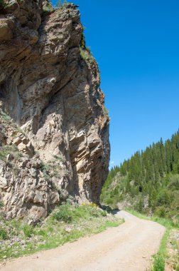dağ, dağ, tepe. Kazakistan. Tien Shan. Takma Yaylası