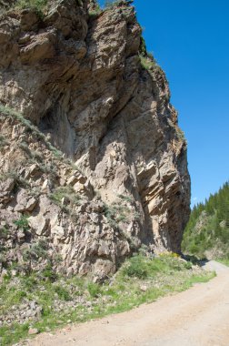 dağ, dağ, tepe. Kazakistan. Tien Shan. Takma Yaylası