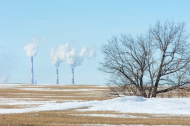 Boru Tesisi. Alan son kar ile. Yalnız Sonbahar ağaç. Solita