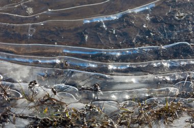 doku. Donmuş su birikintisi, Bahar, buz kalıpları. 