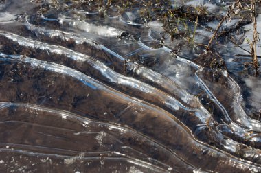 doku. Donmuş su birikintisi, Bahar, buz kalıpları. 