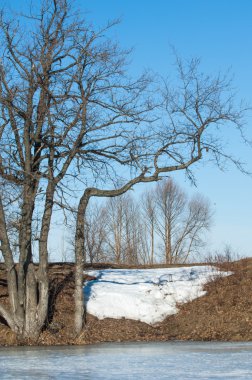 Donmuş gölün bahar. Bahar buz