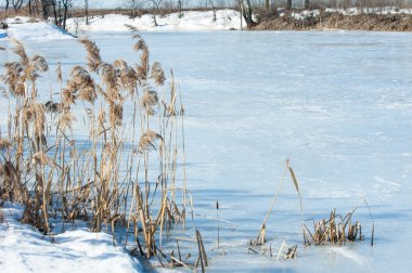 Donmuş gölün bahar. Bahar buz