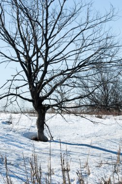 Donmuş gölün bahar. Bahar buz