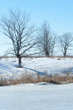 Donmuş gölün bahar. Bahar buz