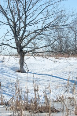 Donmuş gölün bahar. Bahar buz