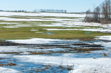 Geçen kış bahar kar. Ağaçlar