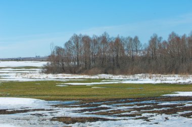 Geçen kış bahar kar. Ağaçlar