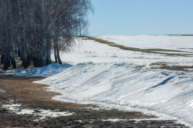 Geçen kış bahar kar. Ağaçlar