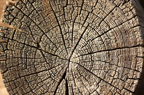 The texture of old wood (board). — Stock Photo, Image