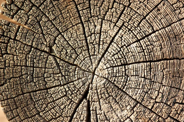 The texture of old wood (board). — Stock Photo, Image