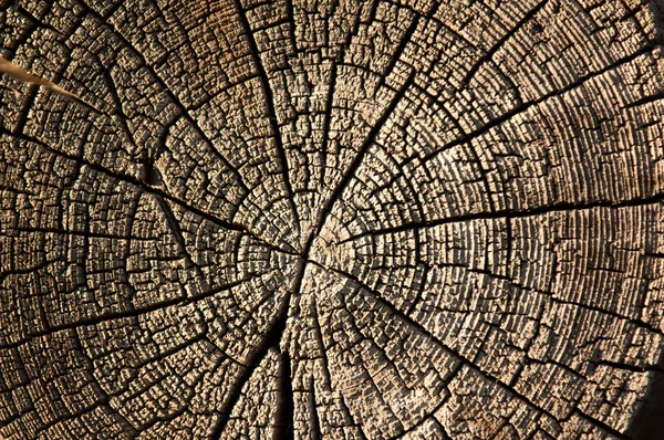 Tekstura Starego Drewna Zarządu Stare Drewniane Tła Stary Nieczysty Drewnopochodnych — Zdjęcie stockowe