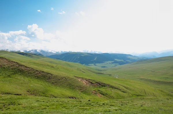 Montagna, monte, collina — Foto Stock