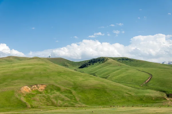 Berg, mount, hill — Stockfoto