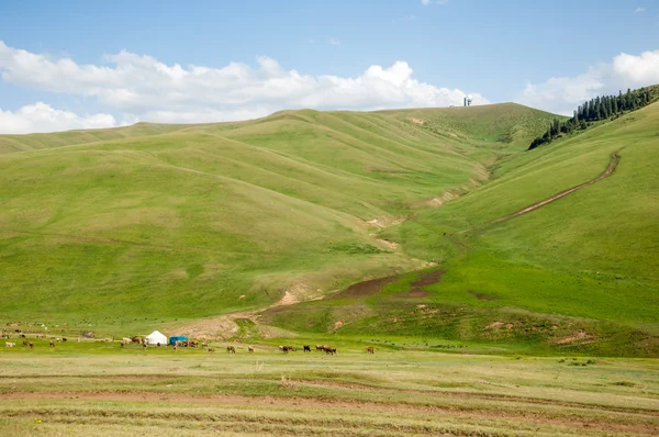 Montagne Montagne Colline Kazakhstan Tien Shan Plateau Assy — Photo