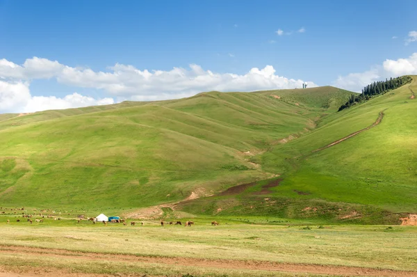 Montagne, mont, colline — Photo