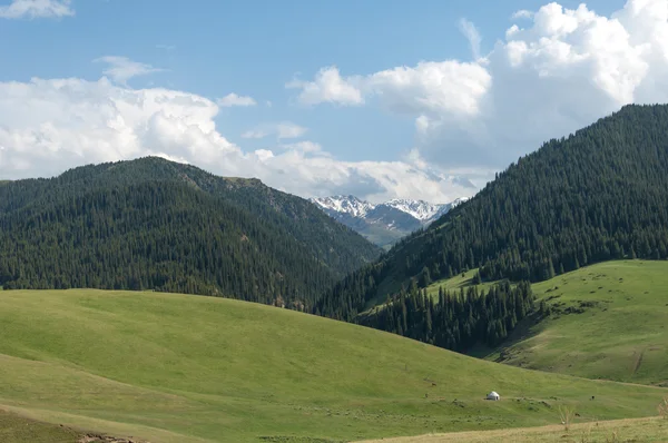 Góra Góra Wzgórze Kazachstan Tien Shan Assy Płaskowyżu — Zdjęcie stockowe