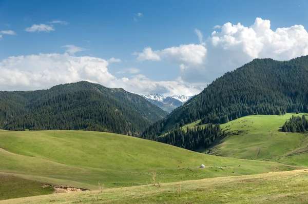 Mountain, mount, hill — Stock Photo, Image