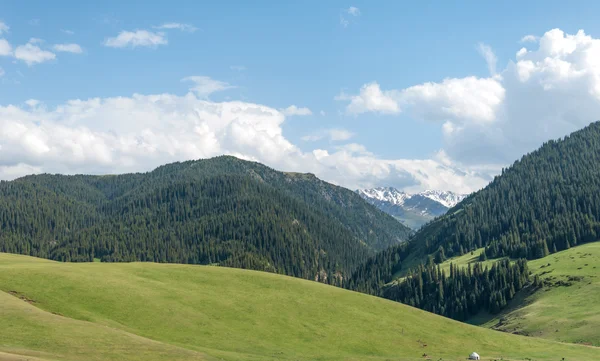 Mountain Mount Hill Kazakhstan Tien Shan Assy Plateau — Stock Photo, Image