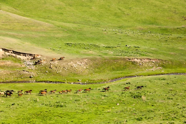 Dağ, dağ, tepe — Stok fotoğraf