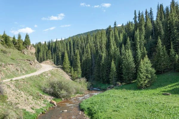 Dağ Dağ Tepe Kazakistan Tien Shan Takma Yaylası — Stok fotoğraf