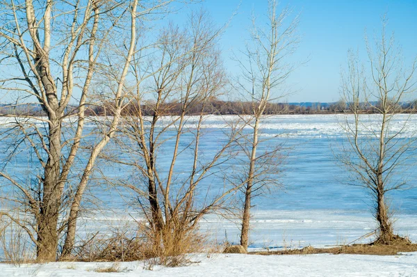 Vloed Van Rivier Verscheurd Rivier Ijs Rivier Met Het Laatste — Stockfoto