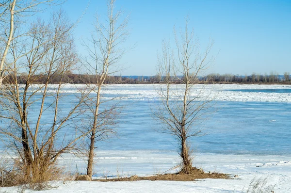 Inundación Hielo Desgarrado Río Con Último Hielo Rusia Río Tartaristán — Foto de Stock