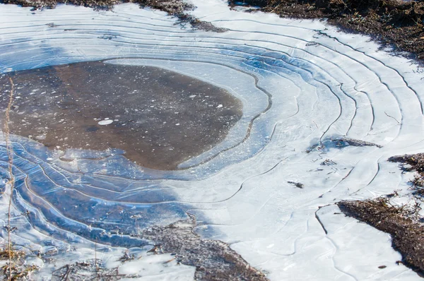 Texture.  Frozen puddle — Stock Photo, Image