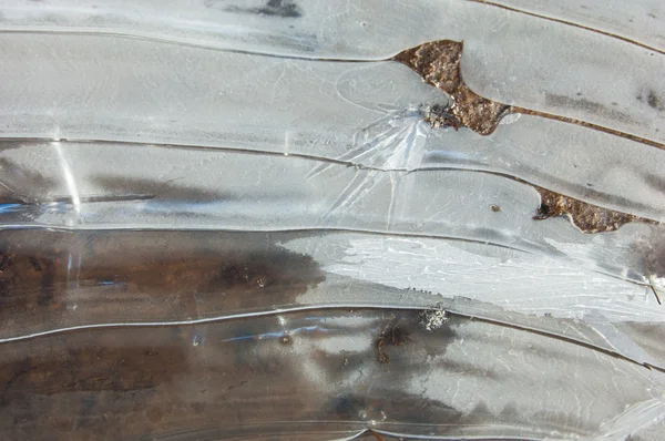 Doku. Donmuş su birikintisi — Stok fotoğraf