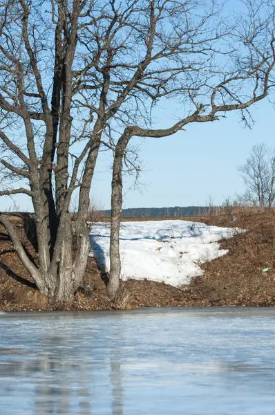 Befagyott Tavaszán Tavaszi Jég — Stock Fotó