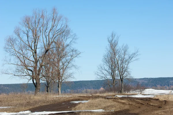 Lente Laatste Sneeuw Bomen — Stockfoto