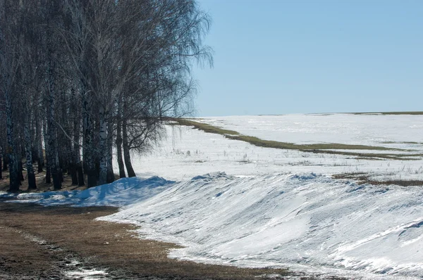 Neve Primavera Inverno Passado Árvores — Fotografia de Stock