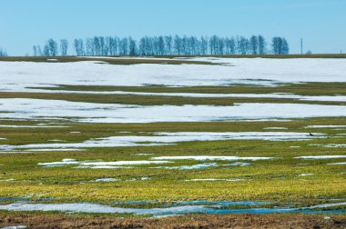 Geçen kış bahar kar. Ağaçlar