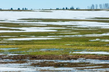 Geçen kış bahar kar. Ağaçlar