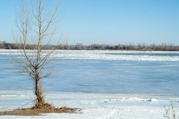 川洪水 川の氷を引き裂かれました 最後の氷川 春の初めにロシアのタタールスタン共和国のカマ川 — ストック写真