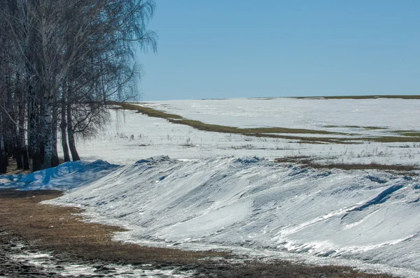 Nieve Primavera Invierno Pasado Los Árboles — Foto de Stock