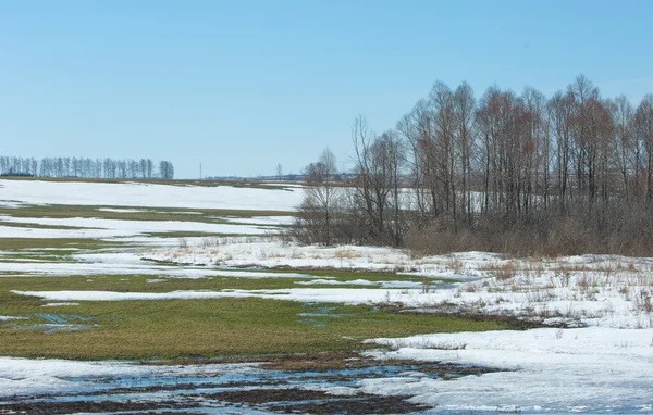 Nieve Primavera Invierno Pasado Los Árboles — Foto de Stock