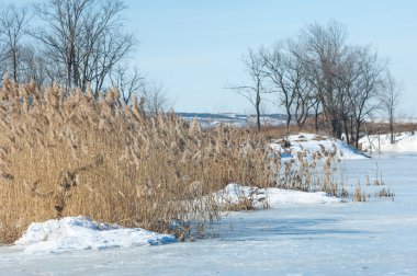 Donmuş gölün bahar. Bahar buz