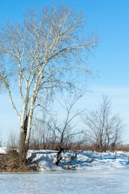 Donmuş gölün bahar. Bahar buz