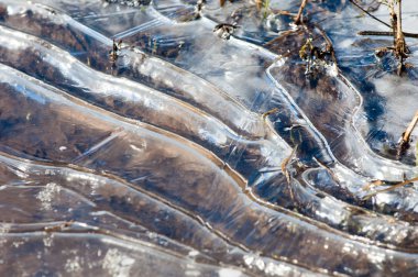 doku. Donmuş su birikintisi, Bahar, buz kalıpları. 