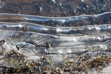 doku. Donmuş su birikintisi, Bahar, buz kalıpları. 
