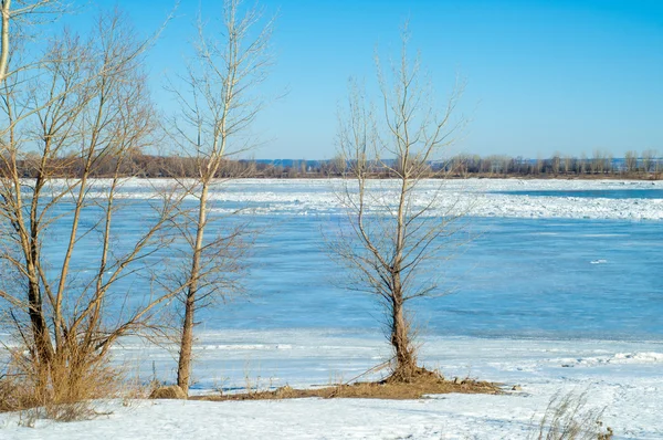 River Flood Sönderriven Floden Isen Floden Med Sista Isen Ryssland — Stockfoto