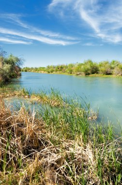 Bozkır nehir sazlık yaz